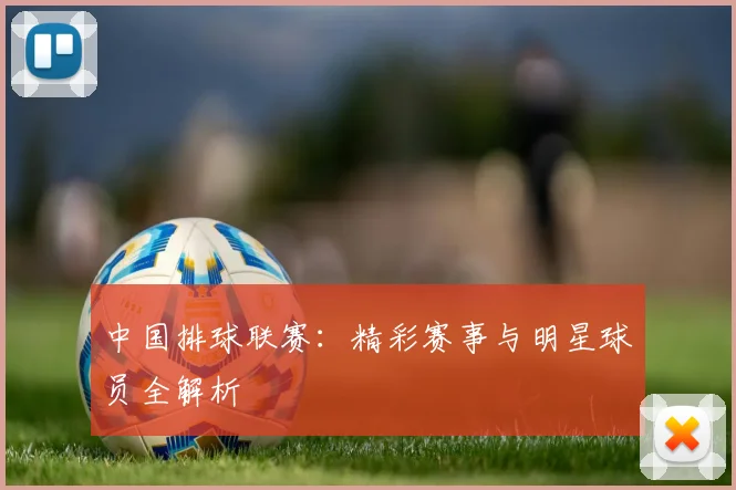 中国排球联赛:精彩赛事与明星球员全解析