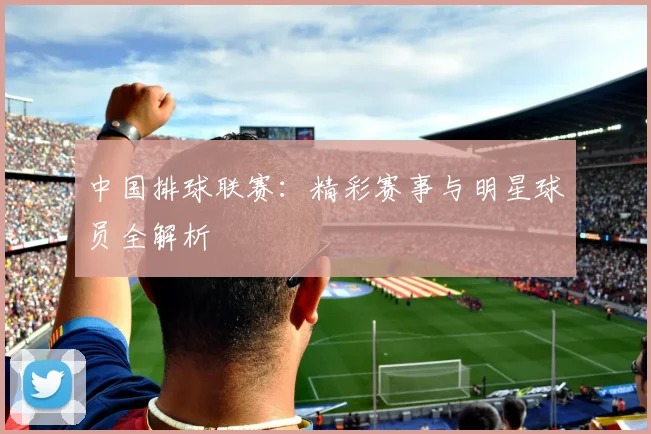 中国排球联赛：精彩赛事与明星球员全解析